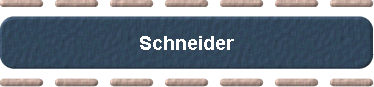  Schneider 